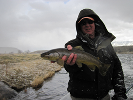 April 1st – 14th | Madison River Fishing Report