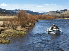 May 5th | Big Hole River Fishing Report