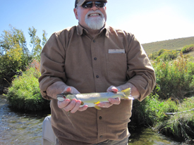 September 10th – 16th | Madison River Fishing Report