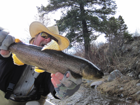 April 15th – 28th | Madison River Fishing Report