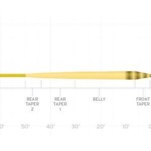 SA Amplitude Infinity