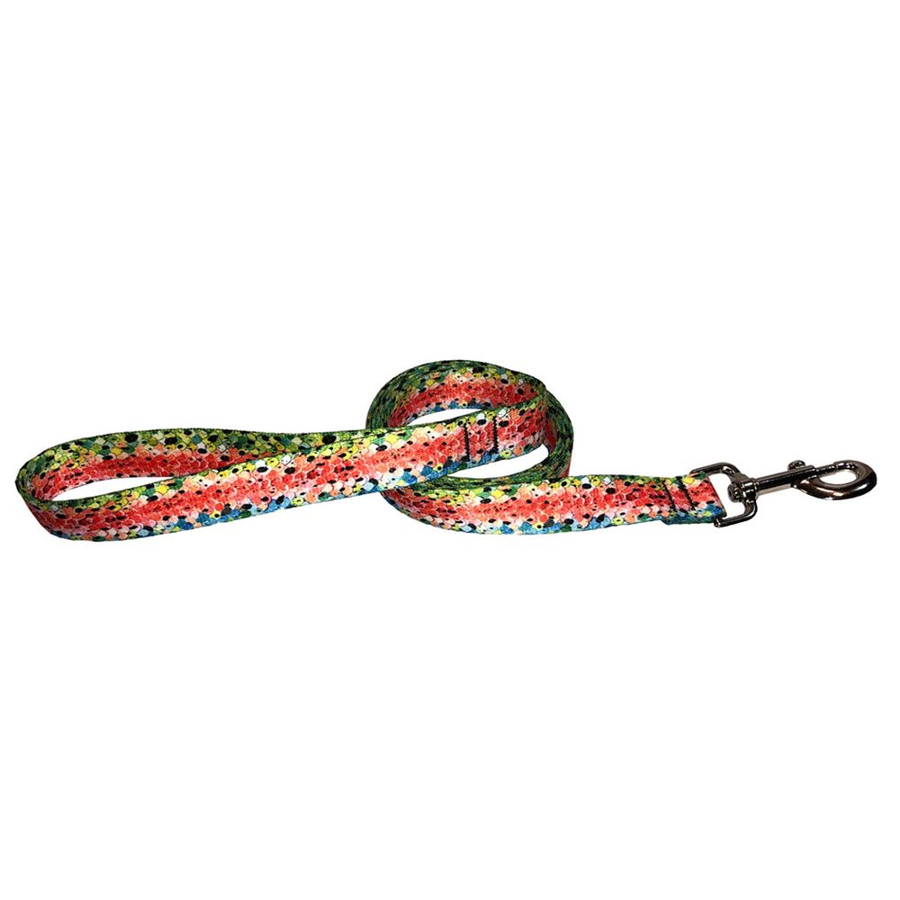 Rainbow #3 Dog Leash